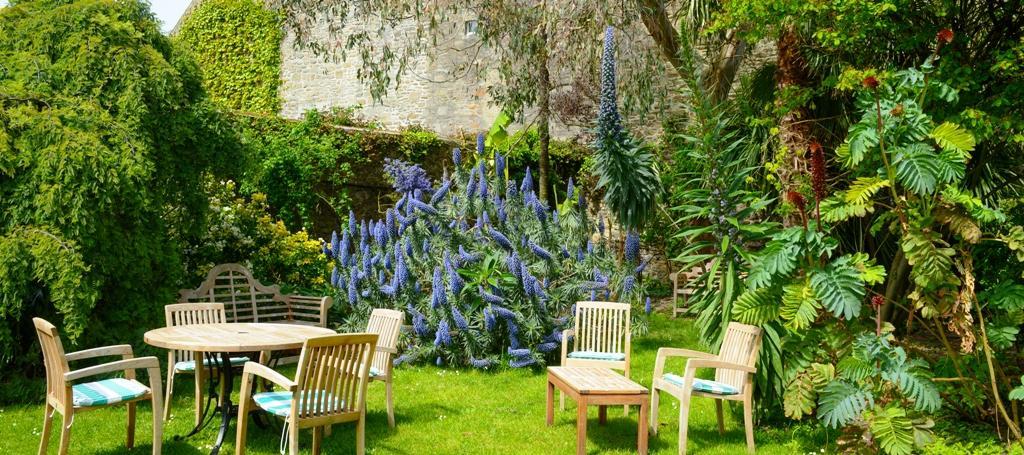 Logis Hotel Les Fuchsias Saint-Vaast-la-Hougue Esterno foto