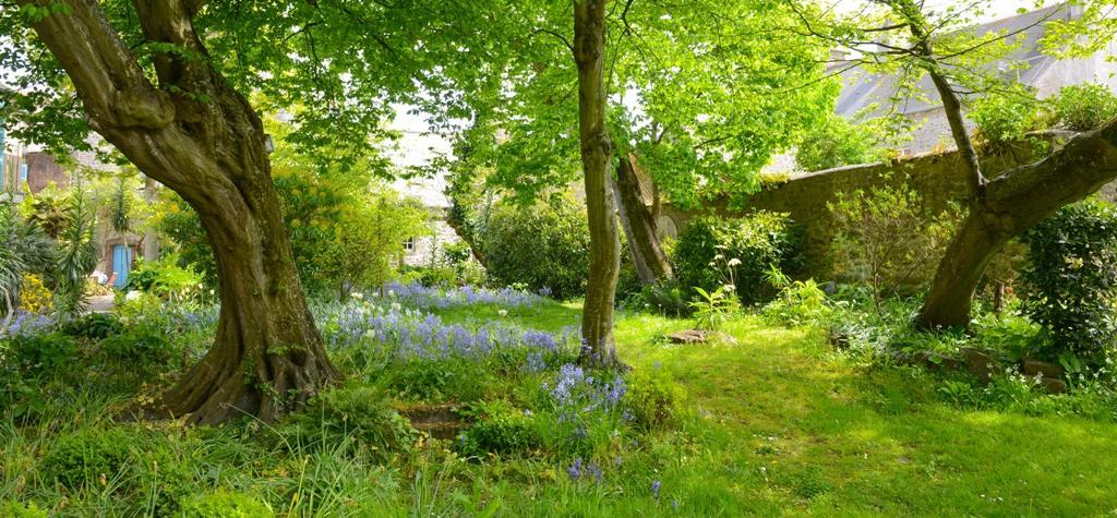 Logis Hotel Les Fuchsias Saint-Vaast-la-Hougue Esterno foto